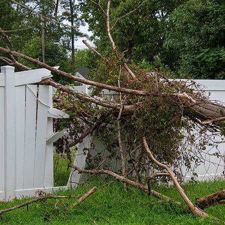 storm damage clean up edwardsville il