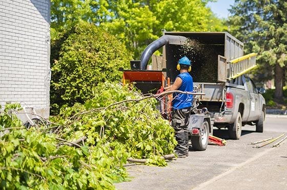 tree removal services Edwardsville IL