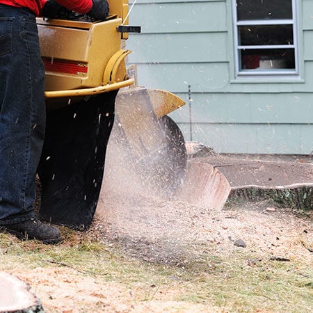 stump grinding and removal