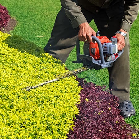 shrub trimming and removal edwardsville il